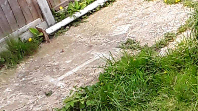 cover photo
