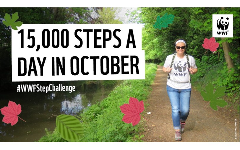 i-walked-15-000-steps-a-day-for-7-days-this-is-what-happened