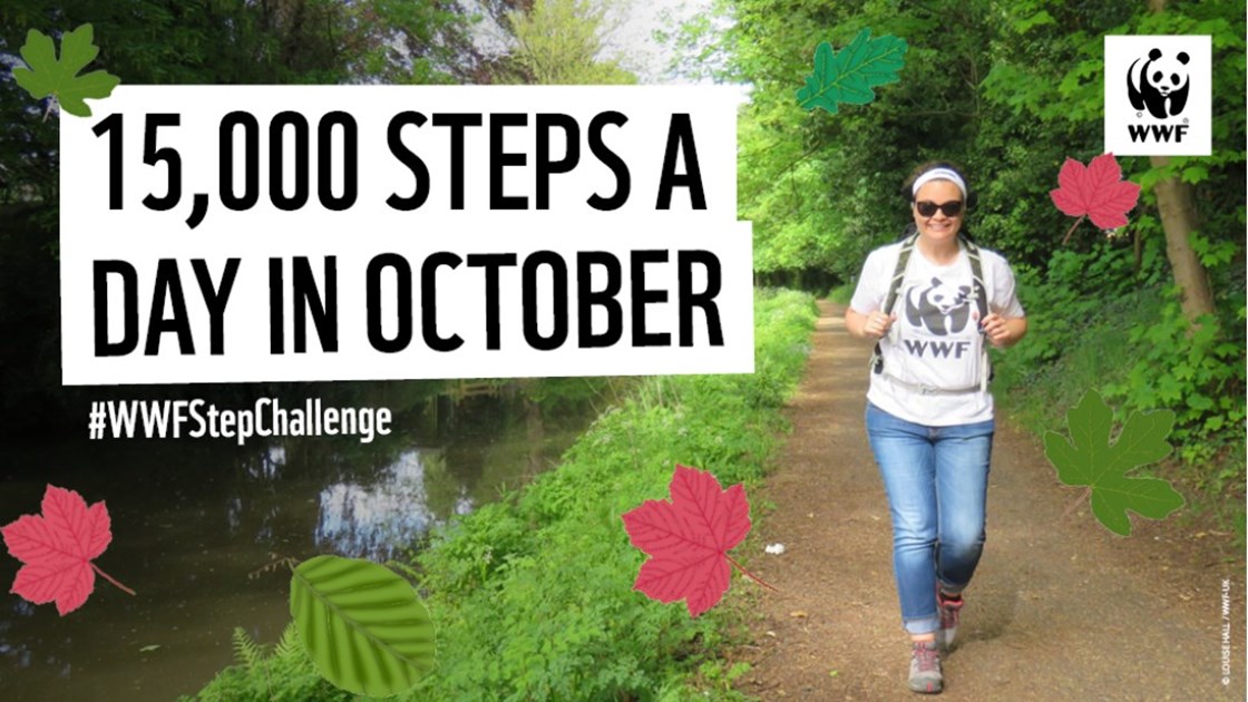 15-000-steps-a-day-in-october-justgiving