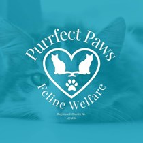 Purrfect Paws Feline Welfare
