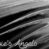 Angie's Angels Community Group CIC