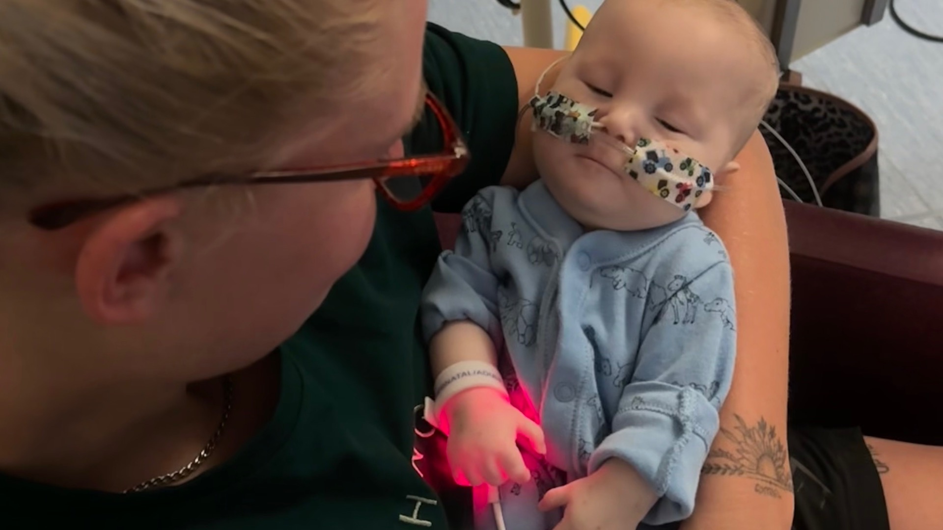 Image for Amy's fundraiser for Wallace & Gromit's Grand Appeal