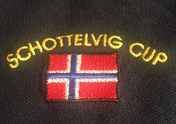 Team logo