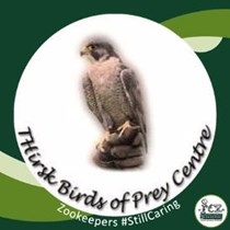 Visitor Information - Thirsk Birds of Prey Centre Thirsk Birds of Prey  Centre