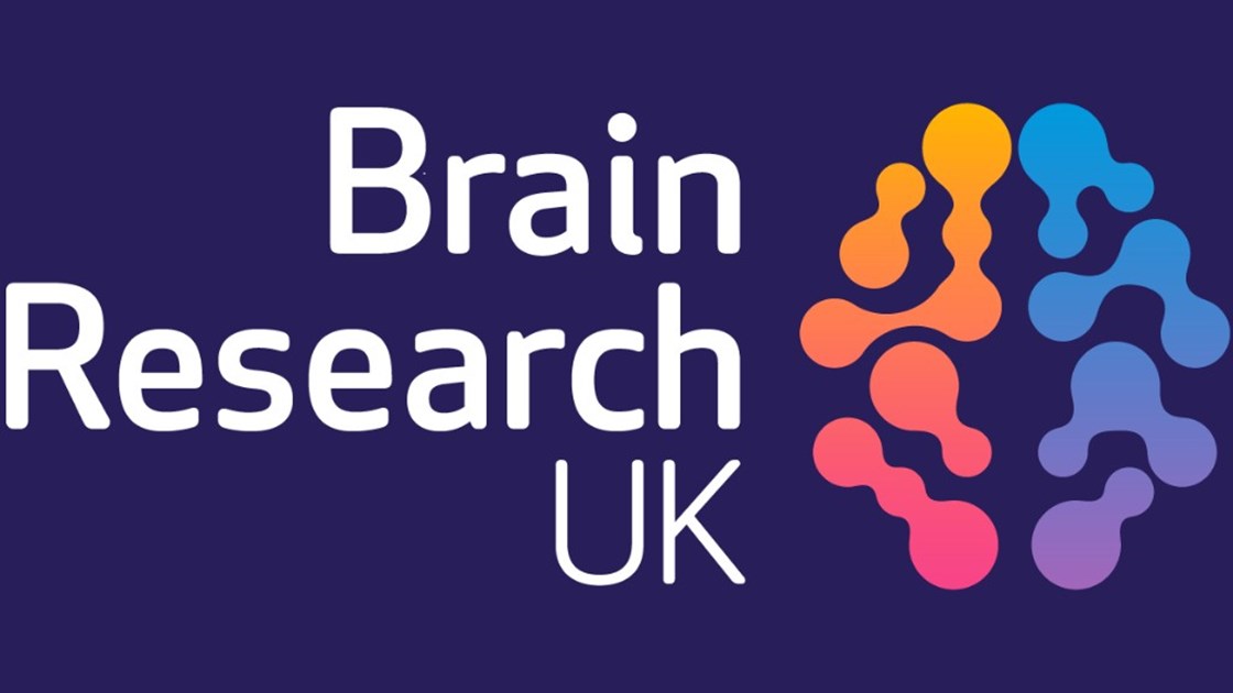 brain research uk project grant