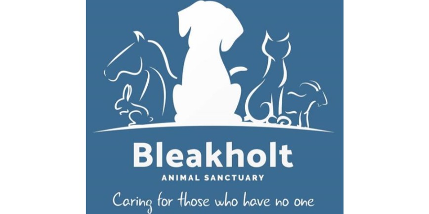 Bleakholt store dog sanctuary