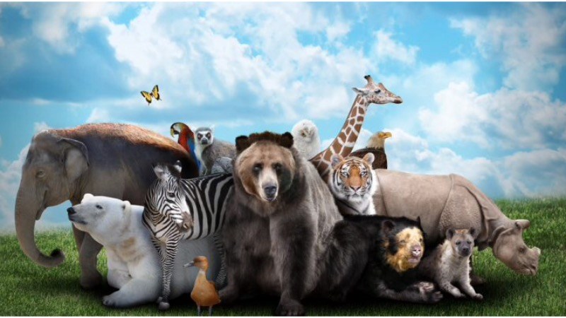 cover photo
