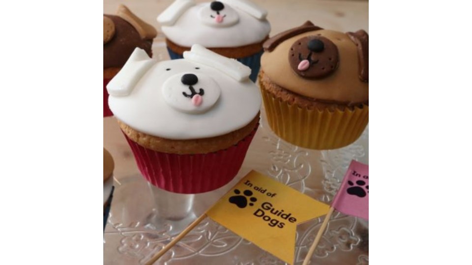 Ledbury Park Veterinary Centre - Make Every Cuppa Count