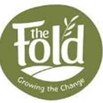 The Fold