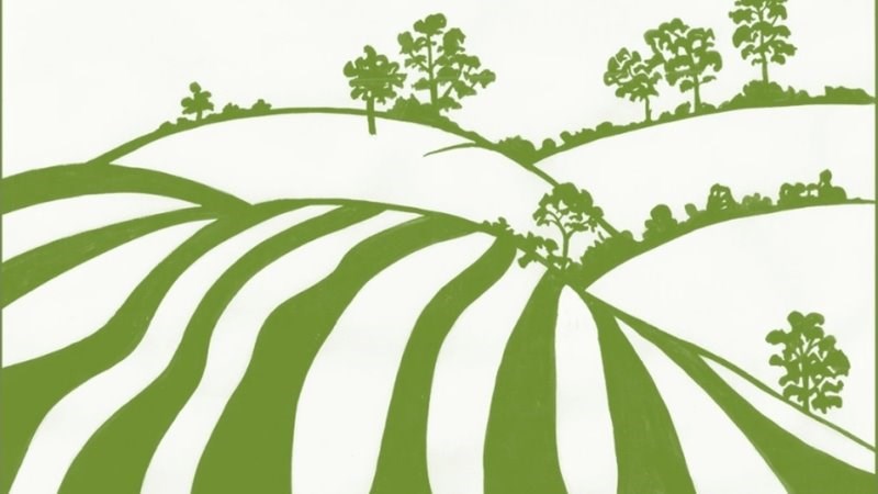 cover photo