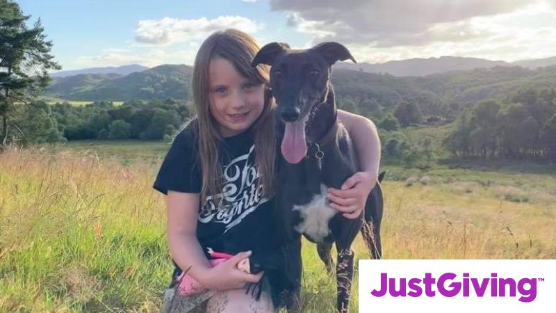 Crowdfunding to Munlochy animal aid Charity. Animal rescue