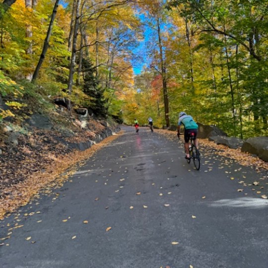 Jacques' Ride for the TREE Fund