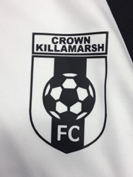 Team logo