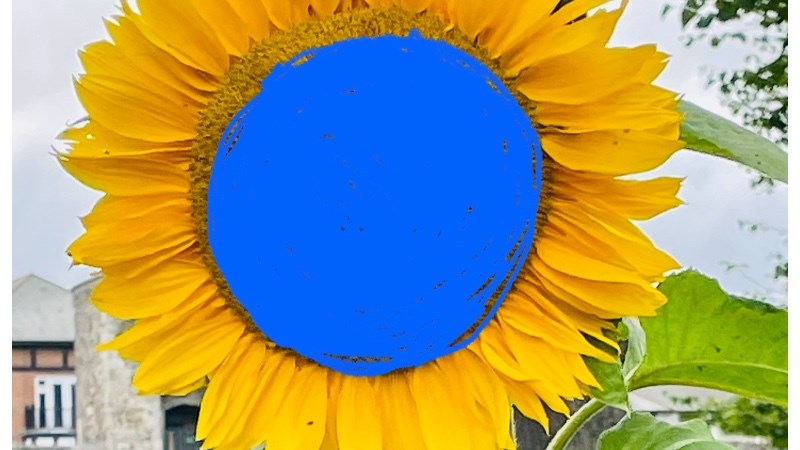 cover photo