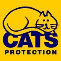 Ferndown CatsProtection