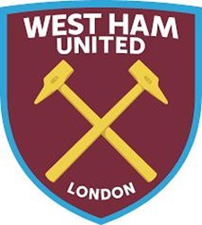 Team logo
