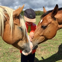 Dan Corbin Equine Gentling