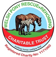 Welsh Pony Rescue & Rehoming Charitable Trust