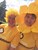 Fundraiser icon