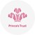 Fundraiser icon