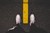 Fundraiser icon