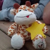 Team Geoffrey