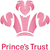 Fundraiser icon