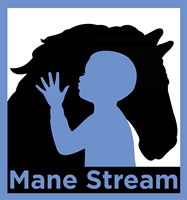 Mane Stream Inc