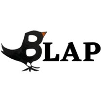 Blackbird Leys Adventure Playground - BLAP