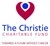 Fundraiser icon
