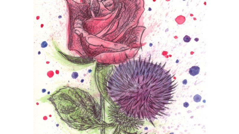cover photo