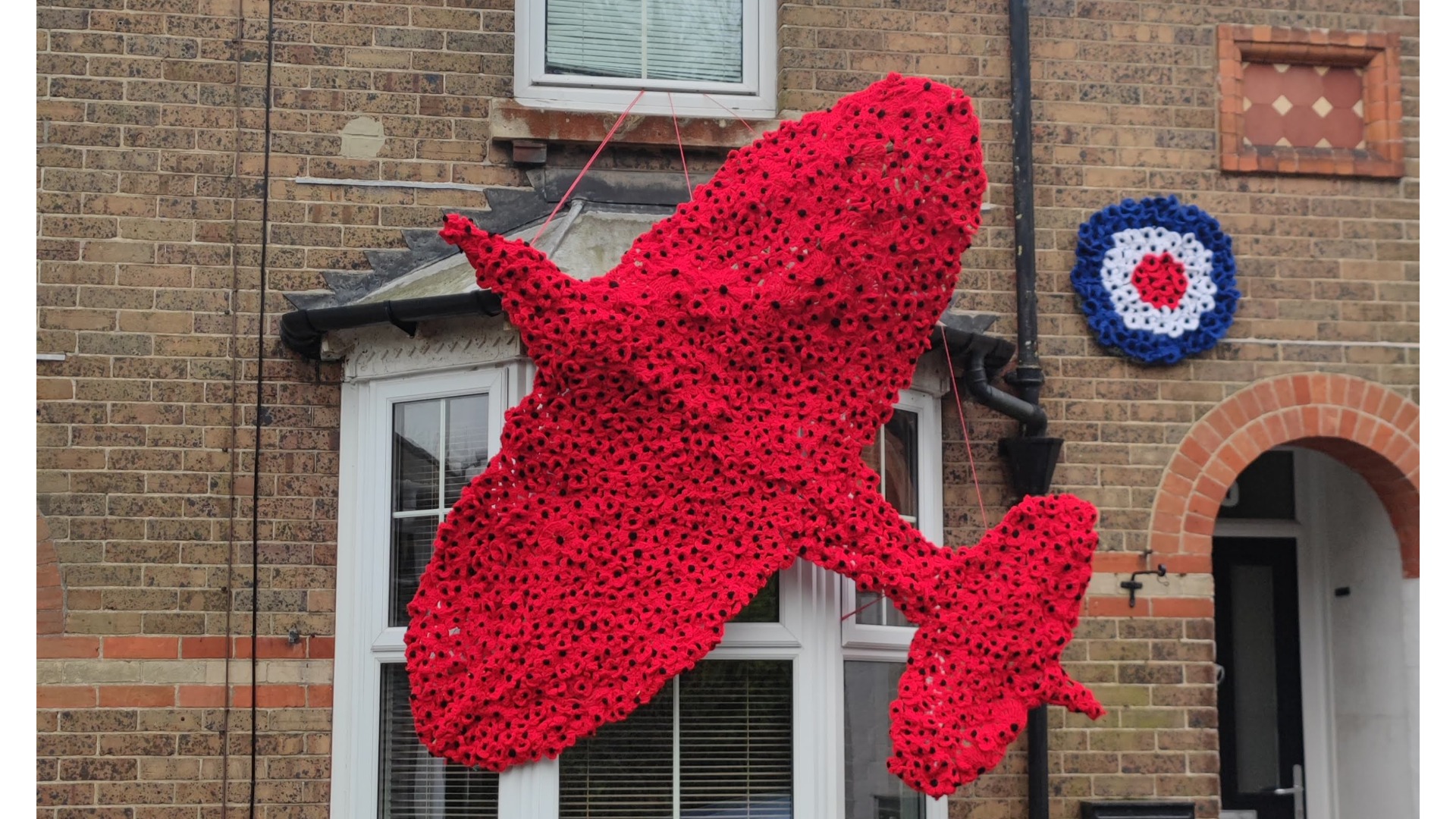 Poppy display aims to raise money for the RAF Benevolent Fund