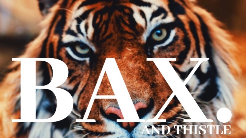 cover photo