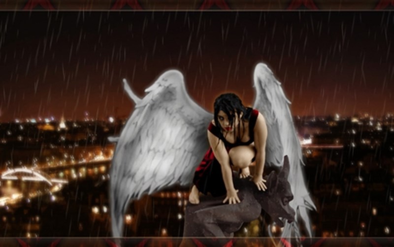 cover photo