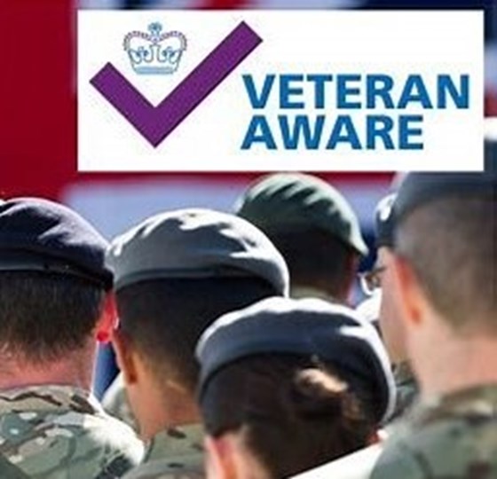 VCHA - Team Veteran Aware