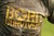Fundraiser icon
