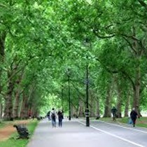 Поменьше парка в городе ответ. Грин парк Лондон. Hyde Park London. Kensington Gardens парк. Green Park Лондон осенью.