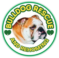 Bulldog Rescue