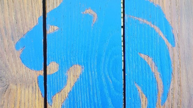 cover photo