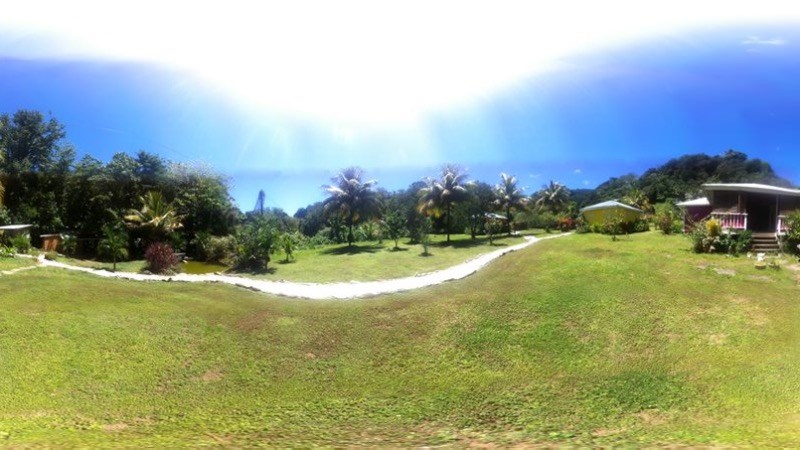cover photo