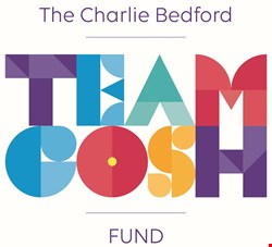 Team logo