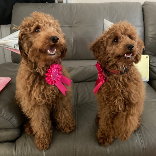Ruby and Amber's 1st birthday fundraiser