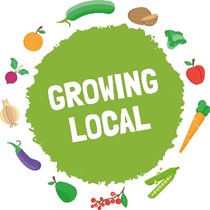 Growing Local CIC