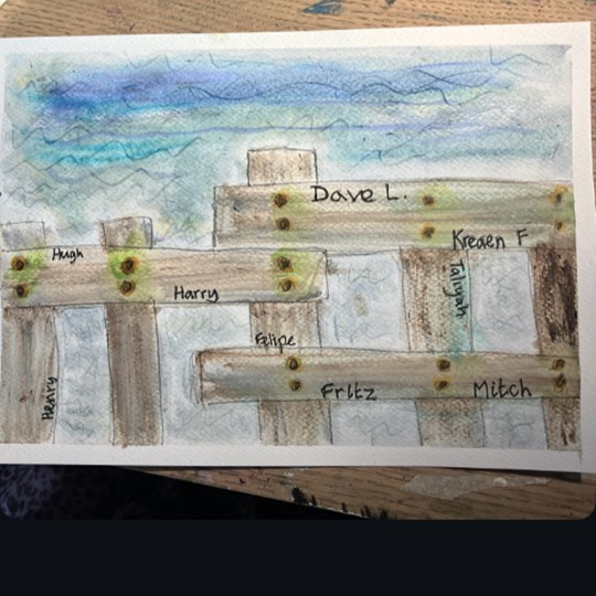 Anna's fundraising page
