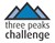 Fundraiser icon