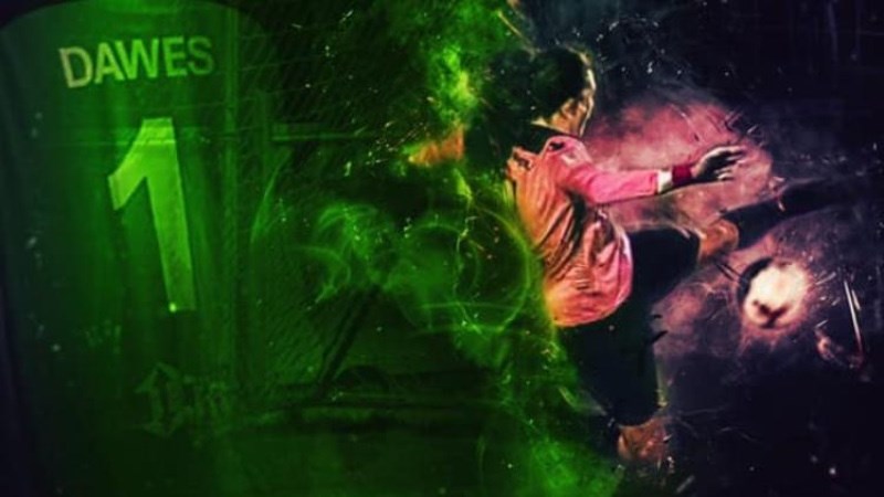 cover photo