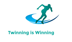 Team logo