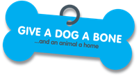 Give a Dog a Bone... and an animal a home
