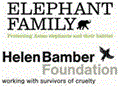 Elephant Family and Helen Bamber Foundation with Deutsche Bank