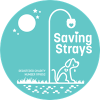 Saving Strays